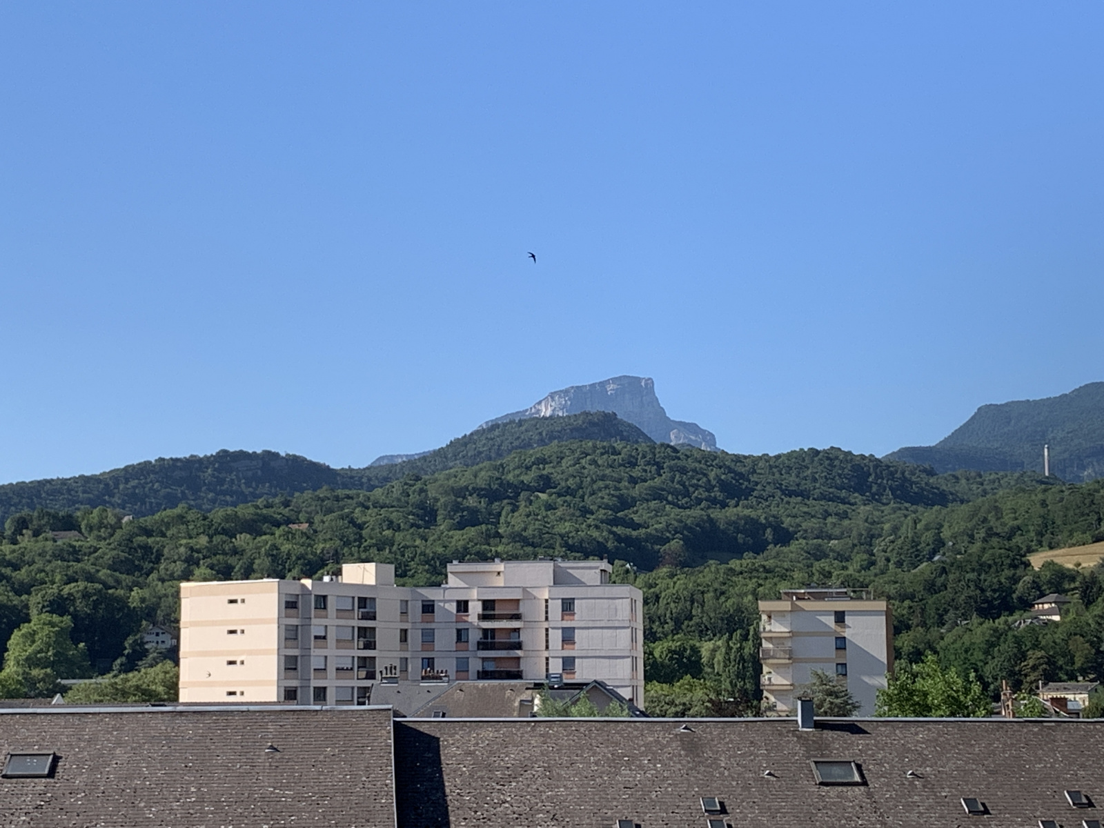 Image_, Appartement, Chambéry, ref :VAP10005298