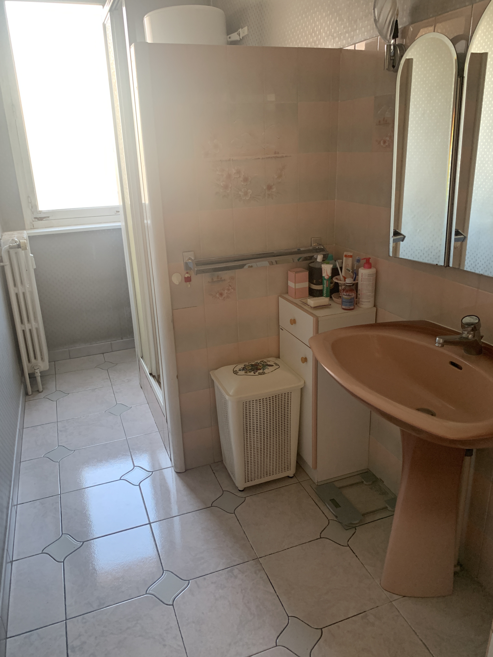 Image_, Appartement, Chambéry, ref :VAP10033376