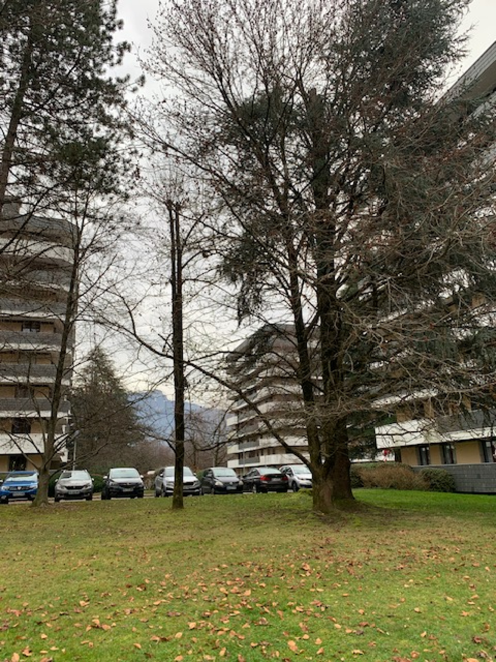 Image_, Appartement, La Motte-Servolex, ref :LAP10037420