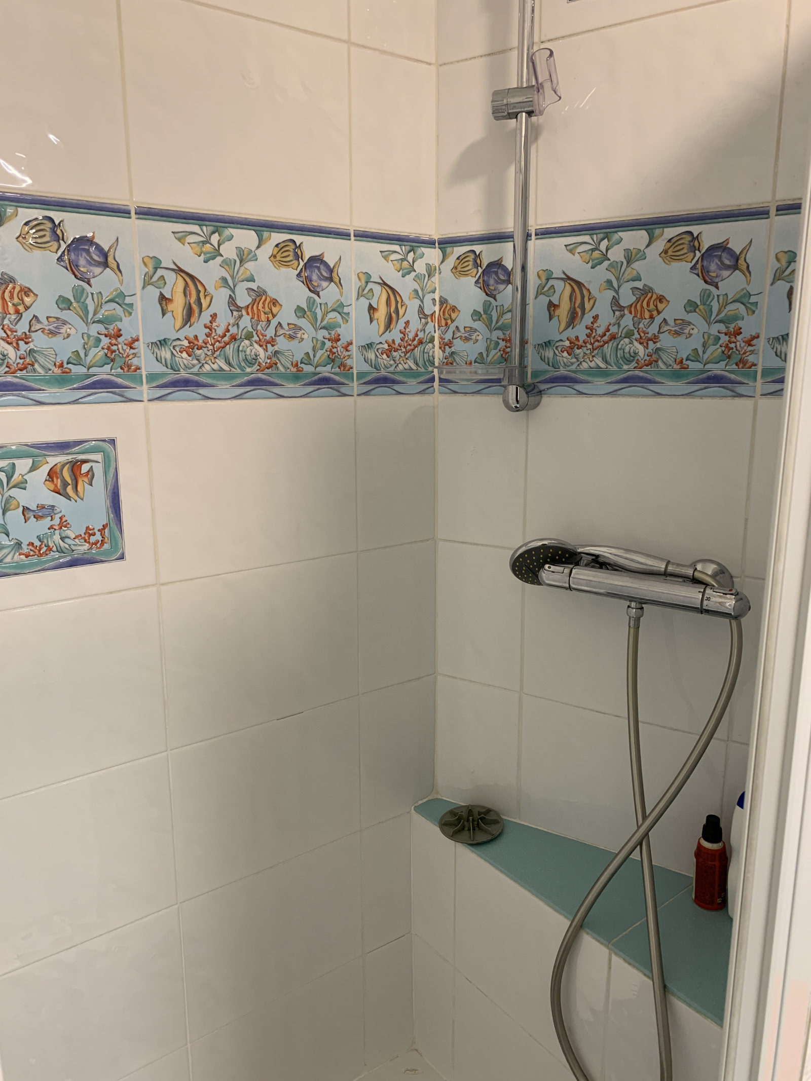 Image_, Appartement, Chambéry, ref :VAP10034706