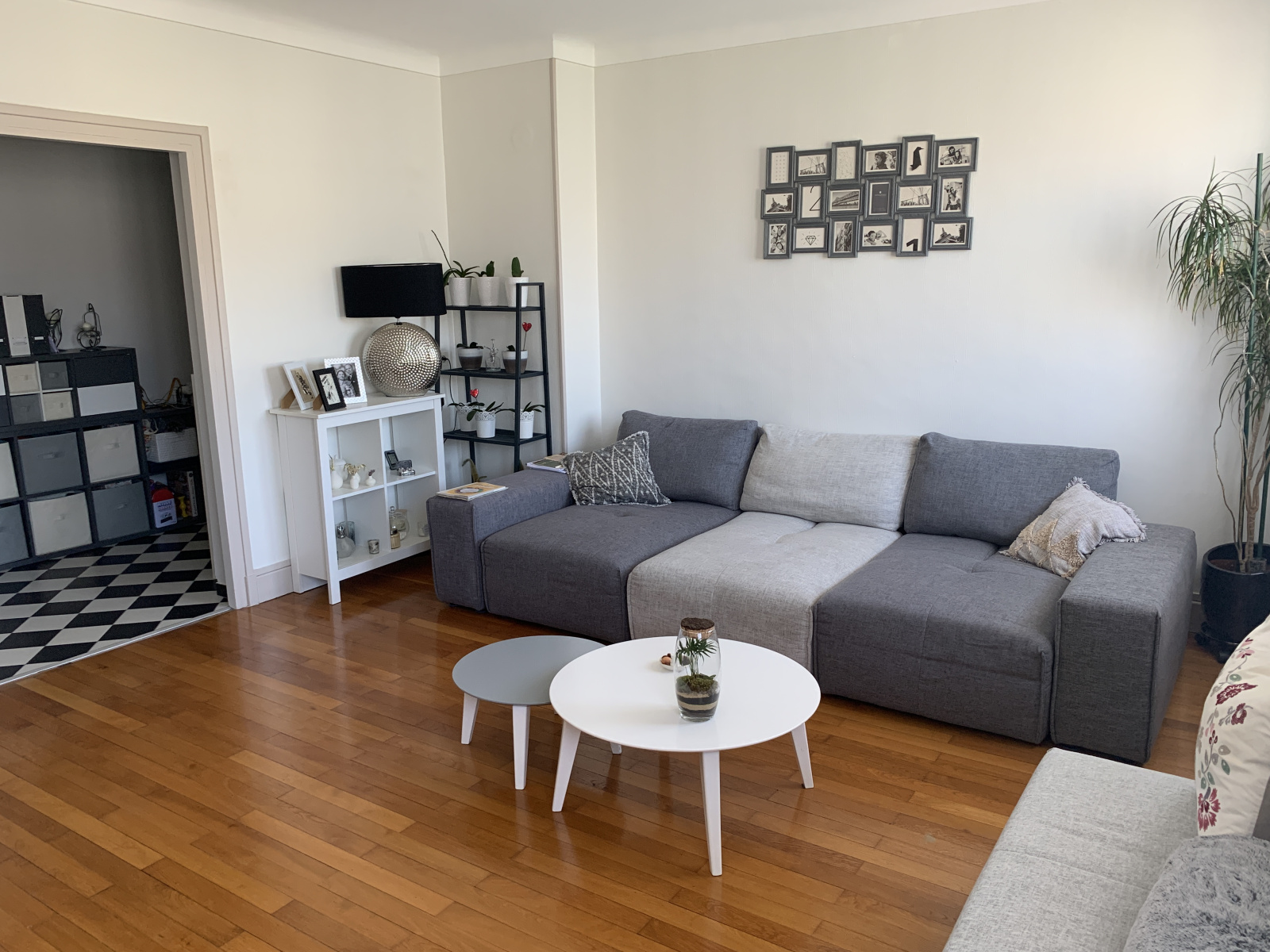 Image_, Appartement, Chambéry, ref :VAP10039564